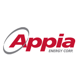 Appia Energy marcegaglia Security Architect Client