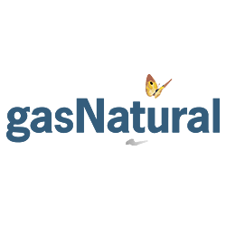 gasNatural Security Architect Client